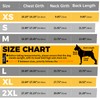 LeleTail Adjustable Back Support for Medium Dogs - Joint Support
