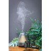 Dome of Harrogate DIVINE Dark Amber & Sandalwood Essential Oil