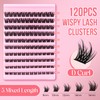 GEMERRY MHL-03 Volume Eyelash Extensions, 8-16 mm, Cluster Lashes, Individual