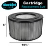 BlueBird Filters Replacement HEPA Filter & Carbon Pre Filter Kit