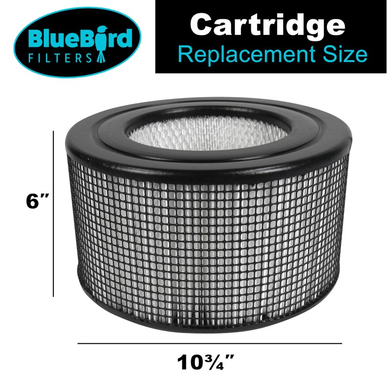 BlueBird Filters Replacement HEPA Filter & Carbon Pre Filter Kit