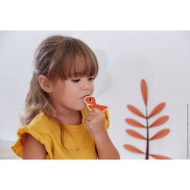 Janod - 24 Magnetic Dinos - Toy Made of FSC Wood - Magnetic Educational Game - Accessories for Magnetic Board - Dino Game - From 24 Months, J05839