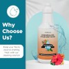 Steam & Go Demineralized Water for Steam Cleaner - PVC-Free