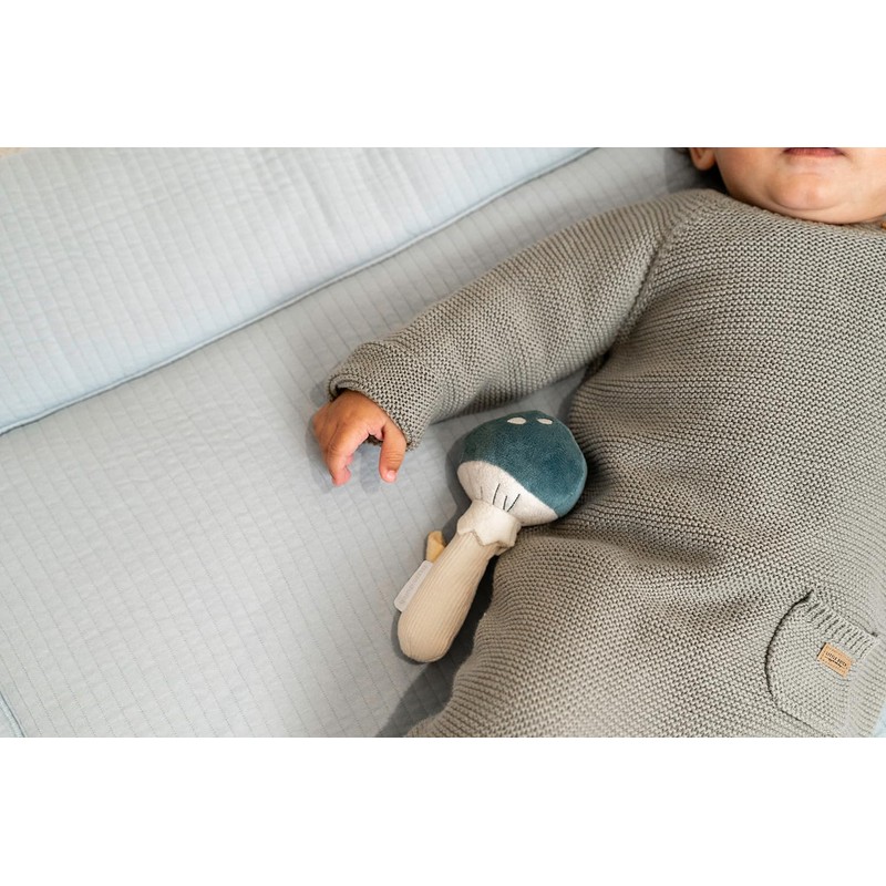 Little Dutch Forest Friends 8901 Grasping Toy Mushroom Blue