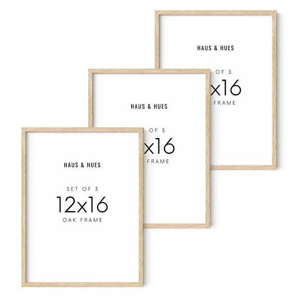 HAUS AND HUES Beige Wood Oak 12x16 Picture Frame, Set
