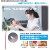 Dental LA-001C Lapis One Tufted Brush Jelly (Orange) Normal (1