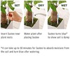 Sustee Aquameter, Set of 4, Plant Soil Moisture Sensor, (Green,