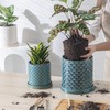 Chubacoo 6 Inch Plant Pot: Ceramic Planter with Drainage Hole