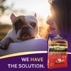Zignature Lamb Formula Grain-Free Small Bites Dry Dog Food 12.5lb