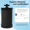 2387 Filter Replacement,Compatible with Alexapure Pro Water Filtration System,Capacity 5,000