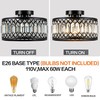 Zlepmlla Crystal Black Ceiling Light, Modern Semi Flush Mount Ceiling