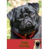 Pug Birthday Card
