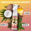 Leave In Conditioner & Heat Protectant Spray Smooth Flyaways Add