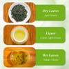 WT WEETEE Green Tea Loose Leaf 8oz /228g, 110+ Cups