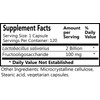 Daily's L Salivarius Probiotic Supplement 120 Capsules Vegan Gluten Free