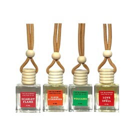 4 Pack Air fresheners | Long lasting car air fresheners, Hand-made in USA | Small room diffuser | Small Business Woman Owned. (10 ml Delightful & Elegant Pack Mix)