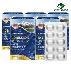 Vital Cube 10 Billion Probiotics Lactobacillus 60 capsules x 5 (10 months) / 바이탈큐브 100억 프로바이오틱스 유산균 60캡슐x5개(10개월)