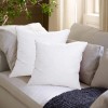 ANT-HOME 22"x22" Pillow Inserts Soft Feather Pillow Set of 2
