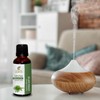 Sheer Essence Lovage Leaf Oil (Levisticum Officinalis) Essential Oil 100%