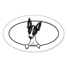 CafePress Rat Terrier Peeking Bumper Sticker Oval Car Bumper Sticker