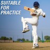 Eagle Pride Premium Hand-Stitched Leather Cricket Balls for Club, Practice,