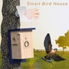 Birdhouse Camera with Solar Powered, HD Vision Camera Watch Bird