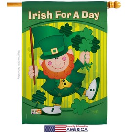 Irish For A Day Garden House Flags Kit Springtime St Patrick Shamrock Leprechaun Lucky Coin Holiday March Clover Small Decorative Gift Yard Banner Made In USA 28 X 40