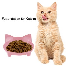 NANEEZOO Cat Bowls, Set of 2 Cat Feeding Bowls, Double Feeding Bowls for Cats, with Feeding Bowl and Water Bowl in Cats, Bowl Set for Cats, Ceramic (Black + Pink)