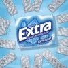 Extra Extra Gum Peppermint Chewing Gum, 15 Pieces (Pack of