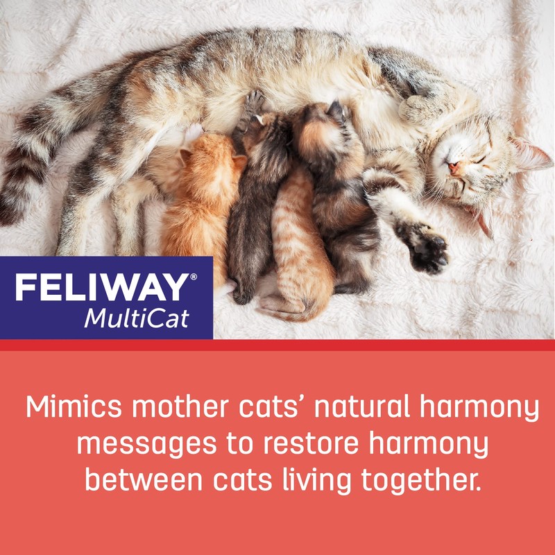 FELIWAY MultiCat 30 Day Cat Calming Plug In Pheromone Diffuser