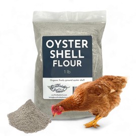 Southside Plants Oyster Shell Flour - High Calcium Supplement for Chickens, Amphibians, Reptiles, Mammals, Invertebrates & Birds - Harvest Delight Chicken Scratch | 1 lbs (1 lb)
