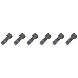 LuK 411 0132 10 Screw Set, Flywheel