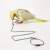 Bird Foot Chain Flying Stainless Steel Training Rope Outdoor Parrot