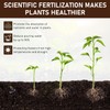 2PCS Soil Activators, Organic Soil Activators and Plant Fertilizers, Garden