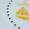 Big Man Kamiwaza Chip Saw Blade