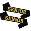 10 Pcs Black Senior 2027 Satin Sashes with Gold Glitter