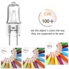 AHEVO G8 Light Bulbs 35Watt 120Volt Halogen Light Bulb G8