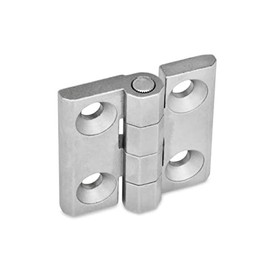 Ganter Standard Elements Hinges | Easy to Mount | (, Stainless Steel, Matt Sandblasted, GN Nickel, 60 60 A, GS