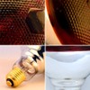 BONGBADA Heat Lamp PAR38 250W 2 Pack Red Infrared Heavy