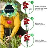 HiGift 5 Pack Plant Support Stakes, Garden Single Stem Flower