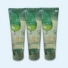 The Saem 더샘 제주 생생 알로에 수딩젤 튜브250ml 3개