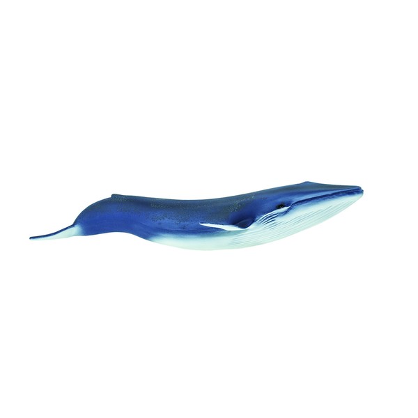 Safari Ltd  Wild Safari Sea Life Blue Whale