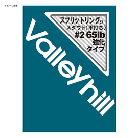 バレーヒル(Valleyhill) スプリットリング EX.スタウト #2(65lb)