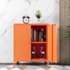 Small 2 Transparent Door Metal Storage Side Buffet Cabinet for