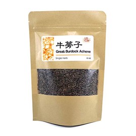 NEW PACKAGING Great Burdock Achene Arctium Lappa Niu Bang Zi 牛蒡子 6 oz