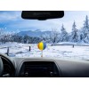 HappyBalls Fun Beach Ball Car Antenna Topper / Auto Dashboard