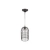 Lyyt | Decorative Birdcage & Pendant Light Fitting