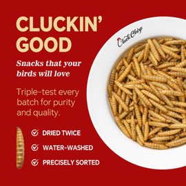 Cluck Chirp Dried Black Soldier Fly Larvae, Non-GMO, Natural Chicken Treats & High-Protein Poultry Snacks for Backyard Chickens, Laying Hens & Ducks, 5 lb Box