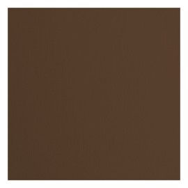 Florence Cardstock Textured - Coloured Card Making Supplies 12 x 12 inch - Brown - 20 Sheets - Coloured Paper for Scrapbooking, Card Making, Die Cutting and Paper Crafts - 216 gsm - Hazelnut