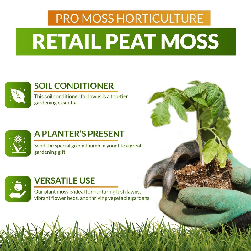 Cuft Sphagnumpeat Moss